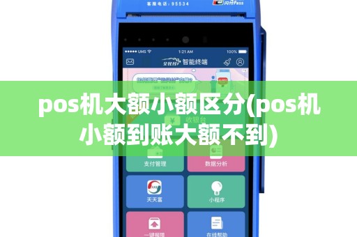 pos机大额小额区分(pos机小额到账大额不到)