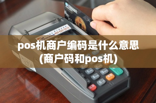 pos机商户编码是什么意思(商户码和pos机)