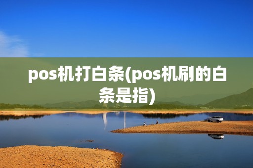 pos机打白条(pos机刷的白条是指)