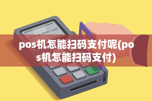 pos机怎能扫码支付呢(pos机怎能扫码支付)