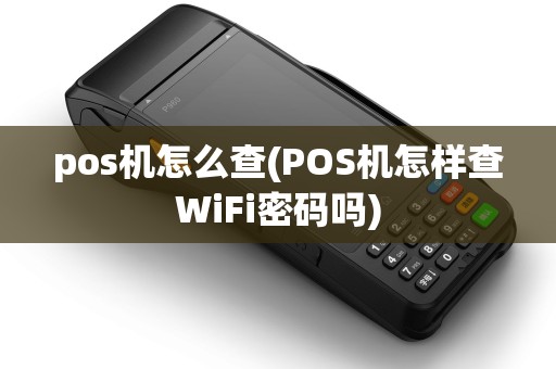 pos机怎么查(POS机怎样查WiFi密码吗)