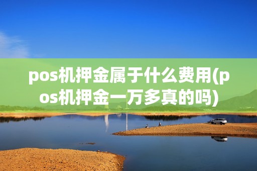 pos机押金属于什么费用(pos机押金一万多真的吗)