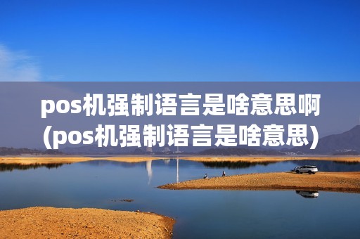 pos机强制语言是啥意思啊(pos机强制语言是啥意思)