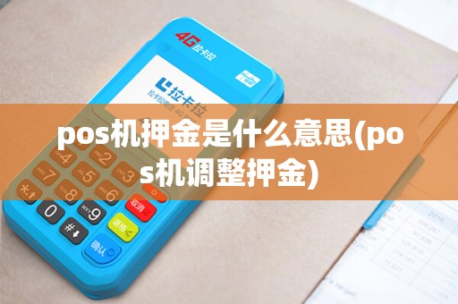pos机押金是什么意思(pos机调整押金)