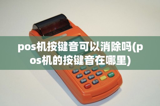 pos机按键音可以消除吗(pos机的按键音在哪里)