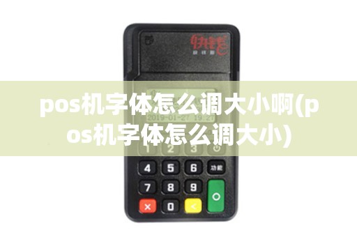 pos机字体怎么调大小啊(pos机字体怎么调大小)