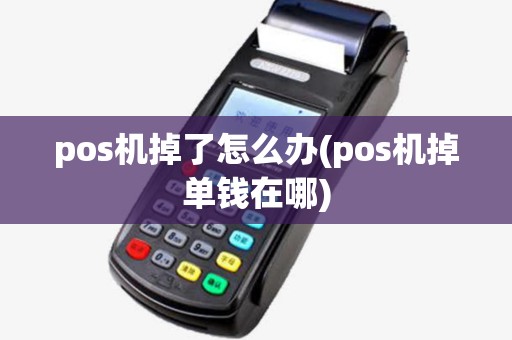 pos机掉了怎么办(pos机掉单钱在哪)