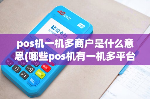 pos机一机多商户是什么意思(哪些pos机有一机多平台的)