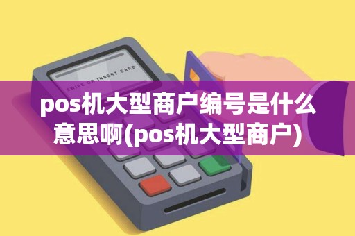 pos机大型商户编号是什么意思啊(pos机大型商户)