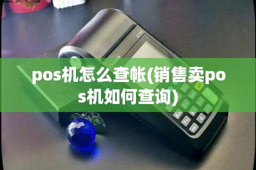 pos机怎么查帐(销售卖pos机如何查询)