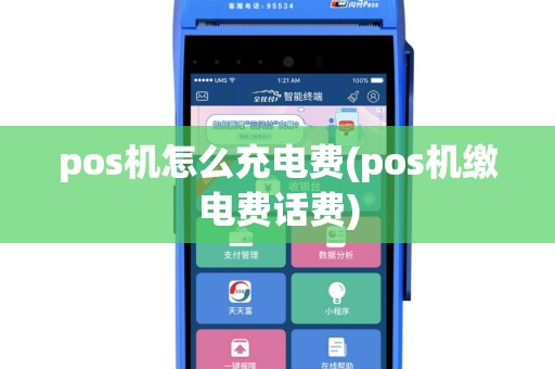 pos机怎么充电费(pos机缴电费话费)
