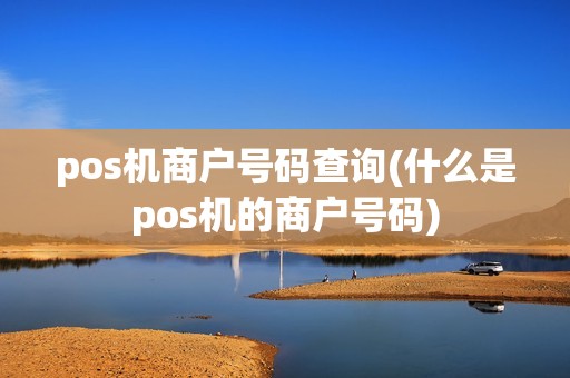pos机商户号码查询(什么是pos机的商户号码)