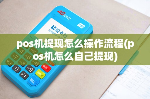 pos机提现怎么操作流程(pos机怎么自己提现)