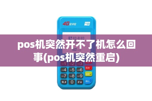 pos机突然开不了机怎么回事(pos机突然重启)