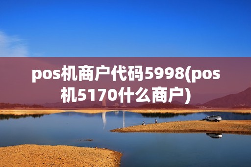pos机商户代码5998(pos机5170什么商户)