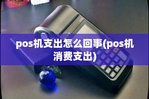 pos机支出怎么回事(pos机消费支出)
