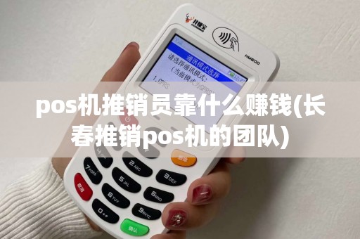 pos机推销员靠什么赚钱(长春推销pos机的团队)