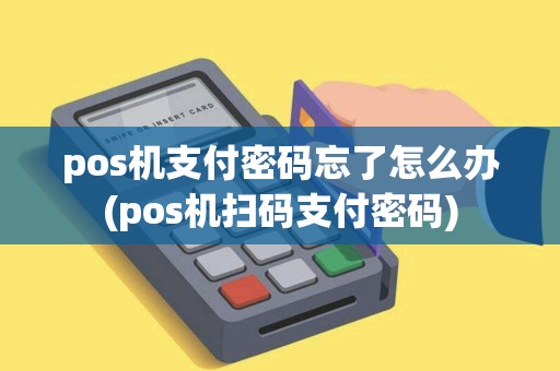 pos机支付密码忘了怎么办(pos机扫码支付密码)