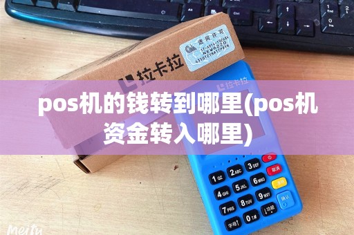 pos机的钱转到哪里(pos机资金转入哪里)