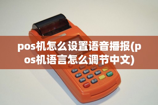 pos机怎么设置语音播报(pos机语言怎么调节中文)