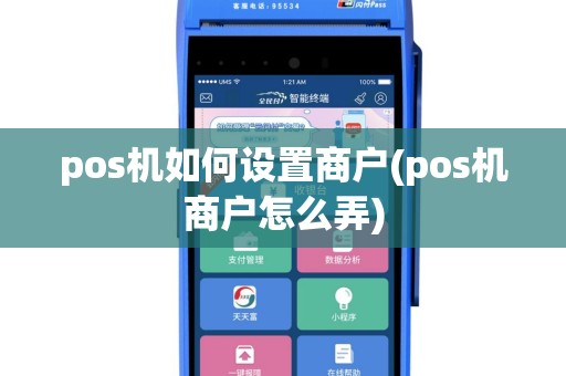 pos机如何设置商户(pos机商户怎么弄)