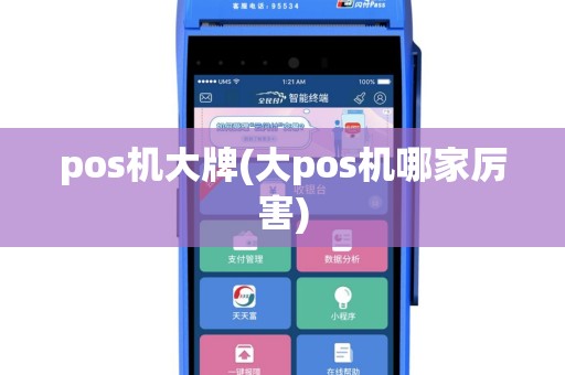 pos机大牌(大pos机哪家厉害)