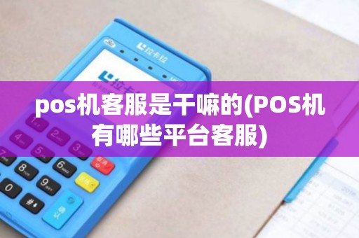 pos机客服是干嘛的(POS机有哪些平台客服)