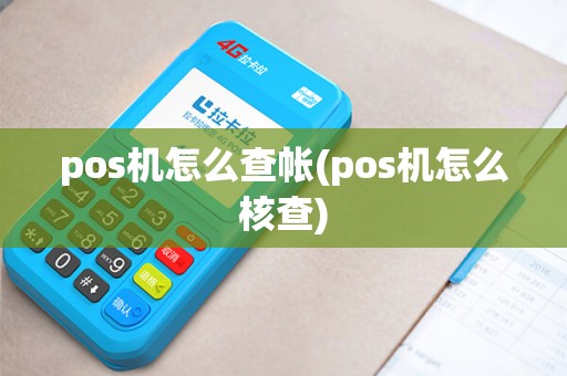 pos机怎么查帐(pos机怎么核查)