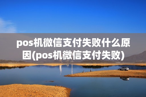 pos机微信支付失败什么原因(pos机微信支付失败)
