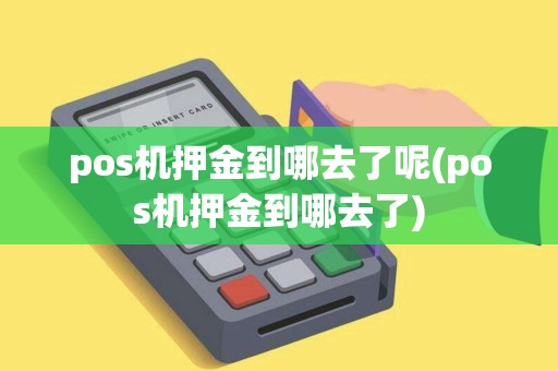 pos机押金到哪去了呢(pos机押金到哪去了)