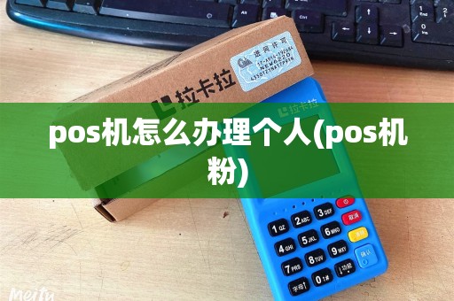 pos机怎么办理个人(pos机粉)