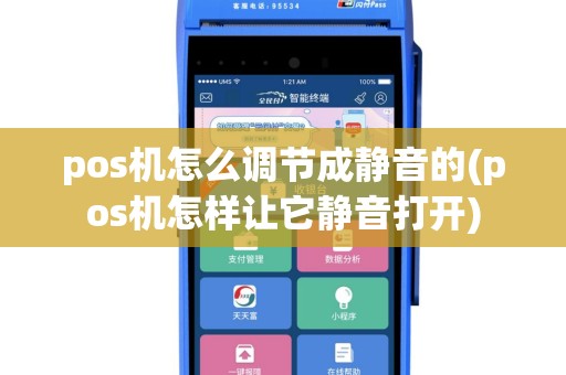 pos机怎么调节成静音的(pos机怎样让它静音打开)