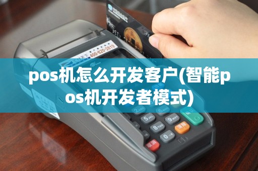 pos机怎么开发客户(智能pos机开发者模式)