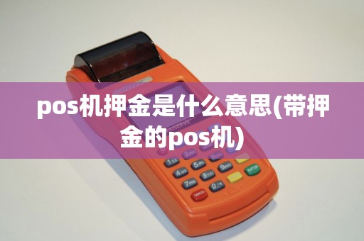 pos机押金是什么意思(带押金的pos机)