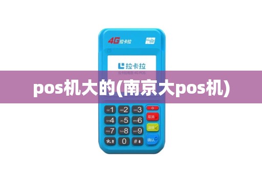 pos机大的(南京大pos机)