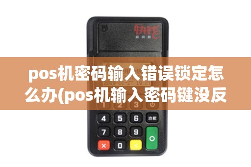 pos机密码输入错误锁定怎么办(pos机输入密码键没反应)