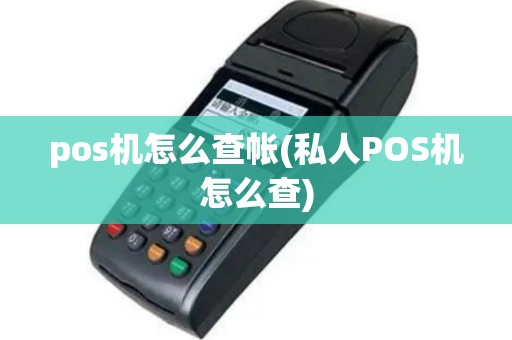 pos机怎么查帐(私人POS机怎么查)