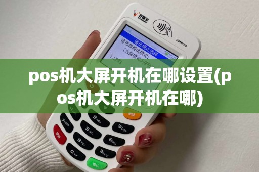 pos机大屏开机在哪设置(pos机大屏开机在哪)
