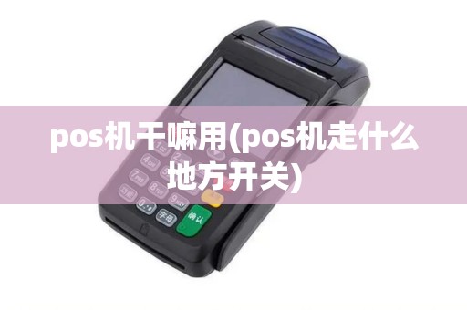 pos机干嘛用(pos机走什么地方开关)
