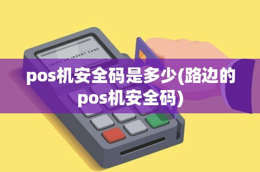 pos机安全码是多少(路边的pos机安全码)