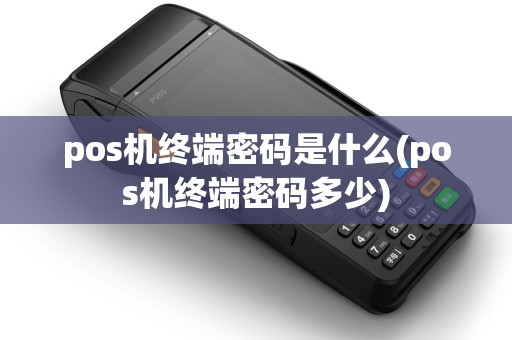 pos机终端密码是什么(pos机终端密码多少)