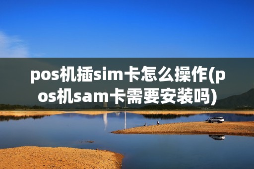 pos机插sim卡怎么操作(pos机sam卡需要安装吗)