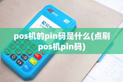 pos机的pin码是什么(点刷pos机pin码)