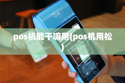 pos机能干嘛用(pos机用松)