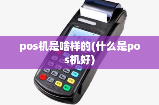 pos机是啥样的(什么是pos机好)