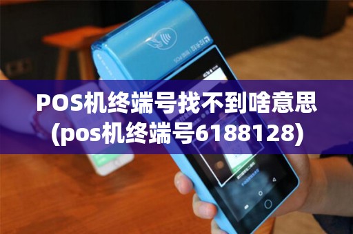 POS机终端号找不到啥意思(pos机终端号6188128)