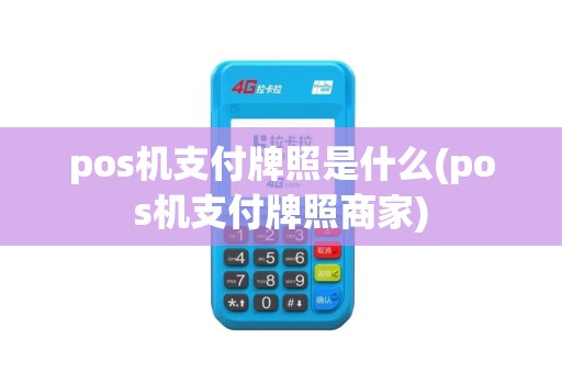 pos机支付牌照是什么(pos机支付牌照商家)