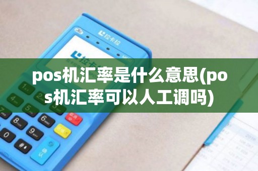 pos机汇率是什么意思(pos机汇率可以人工调吗)