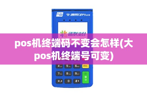 pos机终端码不变会怎样(大pos机终端号可变)