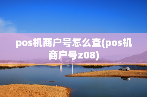 pos机商户号怎么查(pos机商户号z08)